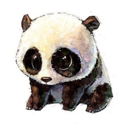 the-daddy-dom:  🐼 Pandas  ➖➖➖➖➖➖➖➖➖➖➖➖➖➖