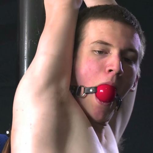 Porn Pics GALLERY: ball gagged twink