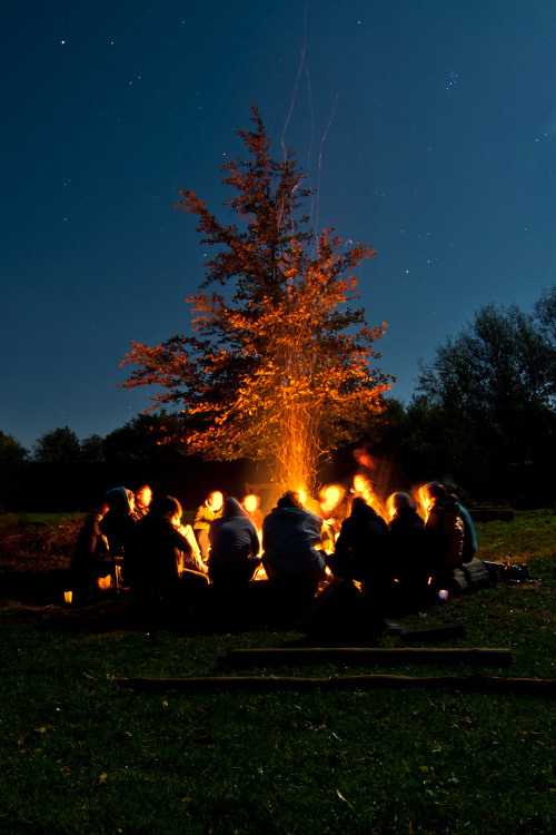 imalikshake:  campfire by Zanthia   