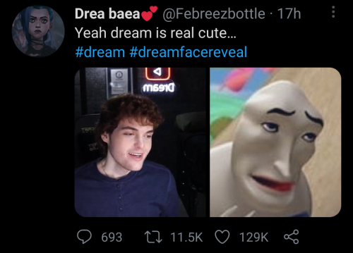 dream face reveal roast meme｜TikTok Search