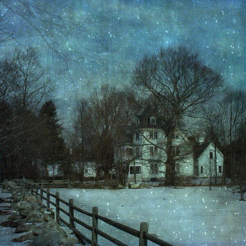  Narcisa Eichin“Winter moonlight”2010