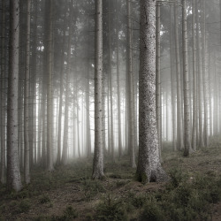 isolohr:  Facebook - Flickr - Behance - Website © Jürgen Heckel