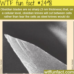 wtf-fun-factss:  Obsidian Blades - WTF