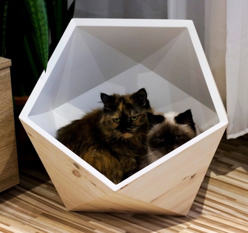 sosuperawesome: Cat Houses Catissa Cat Trees on Etsy See our #Etsy or #Pets tags   Whoa!