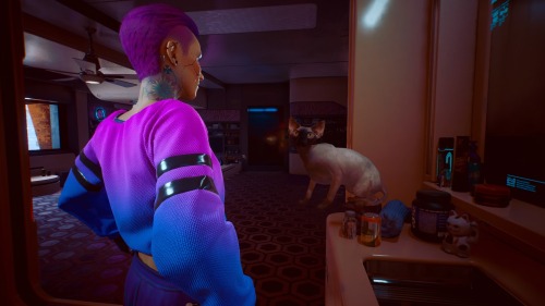 You Ever Have One Of Those Days Where You've Gotta Just Tell The Cat All About It?