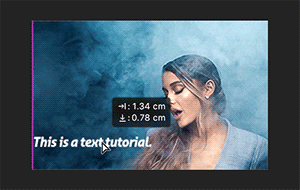 You can now add text on Tumblr's GIF making tool