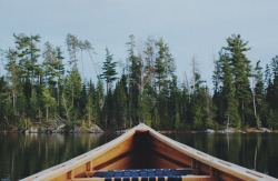 sanborncanoecompany:  Knife Lake, bwca  ⛵💐