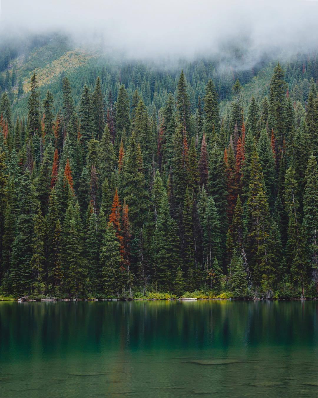 delta-breezes:  Ryan Clennett | @ryanclennett 
