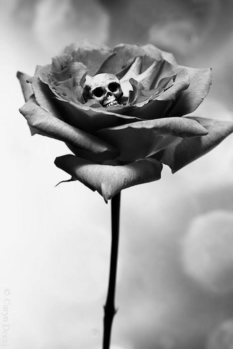 A Reticent Existence