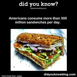 did-you-kno:  Americans consume more than