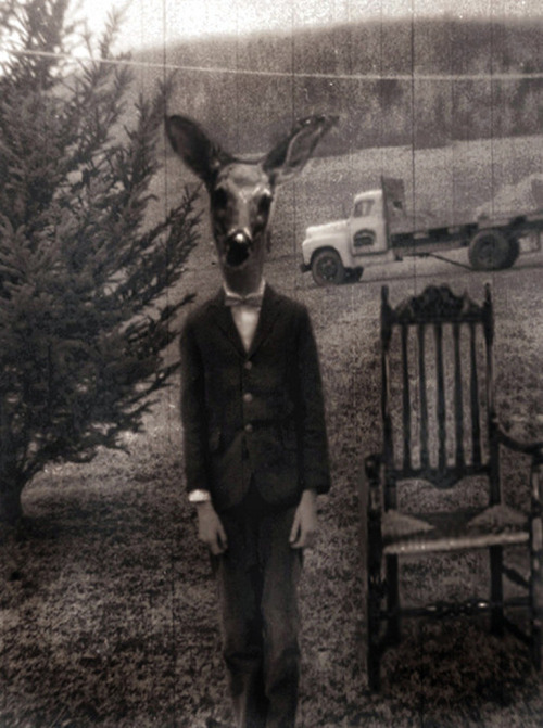 dropboxofcuriosities.tumblr.com/post/103082523701/