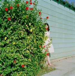 galasai:  Ye Rin Mok Check out her tumblr 