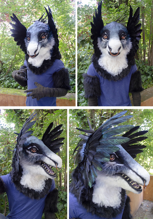  A commissioned mask - a fantastical raptor design belonging to @LimeyPie on twitter! Definitely one