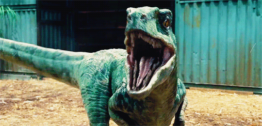 jurassicdaily:  Velociraptors in every movie: Jurassic Park The Lost World: Jurassic