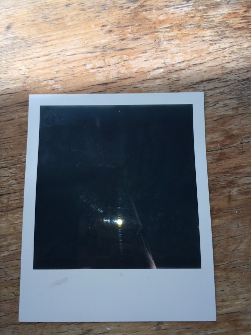 I&rsquo;ve been experimenting with my old Polaroid One600 camera after not using it in 5+ years.