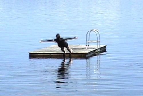 gay8:  Mary CobleSwim, Stand &amp; Fall, 2010