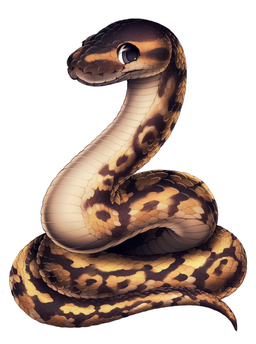 furvilla:  Reptiles! Albino Ball Python, Corn Snake, Ball Python, Milksnake, King Cobra, Arizona Whiptail, Collared Lizard, Bearded Dragon 