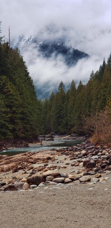 earthporn:Early morning at Golden Ears Provincial Park, BC, Canada [OC] [1960x4032] by: Vespill