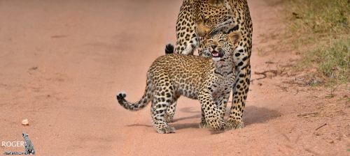 You Never Know What You Can Find When You Take The Time To Slow Down And Appreciate All The Bush Has
