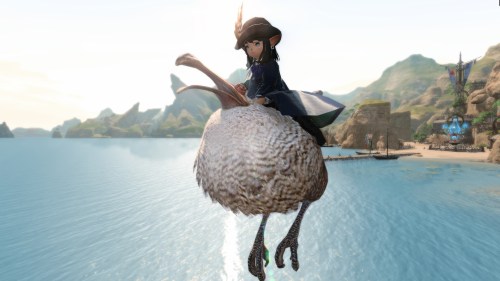 Dodo Mount Explore Tumblr Posts And Blogs Tumgir Dodo Mount Explore Tumblr Posts And Blogs Tumgir