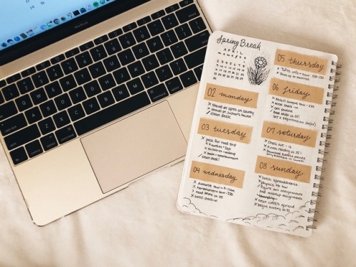 thymemanagement: a little different from my usual spread because I had less tasks to complete last w