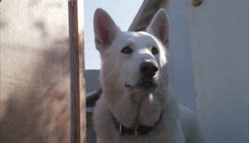 365filmsbyauroranocte