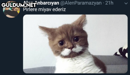 Alen Anbarcıyan...