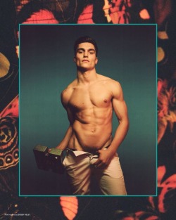 boydom:  Boys here and Dicks here.