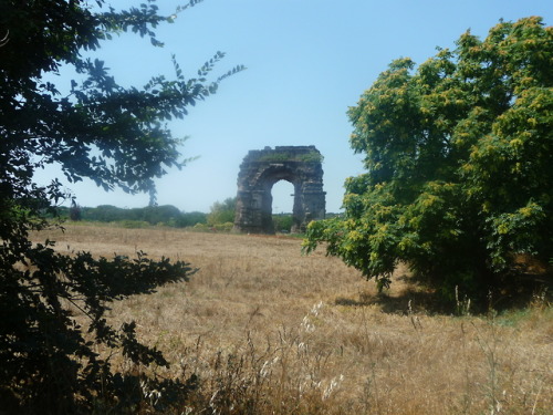 Aqueduct park of Rome - how to get thereThis place is one of my favourites in Rome and actually not 