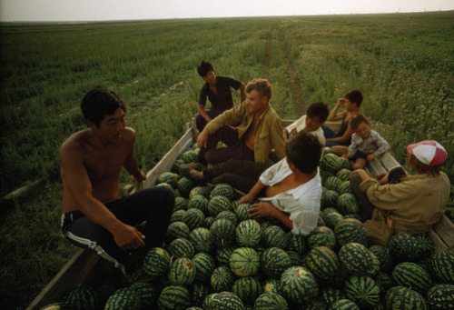 unrar - Korean and Russian farmers rest after harvesting...