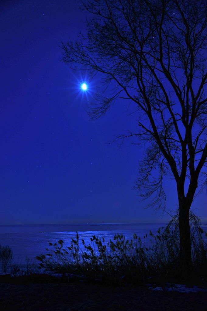 djferreira224:  Blue blue blue 