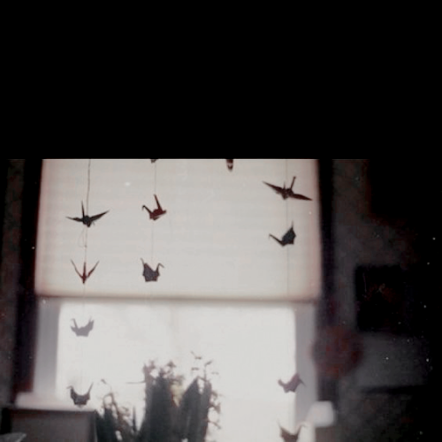 draculcs