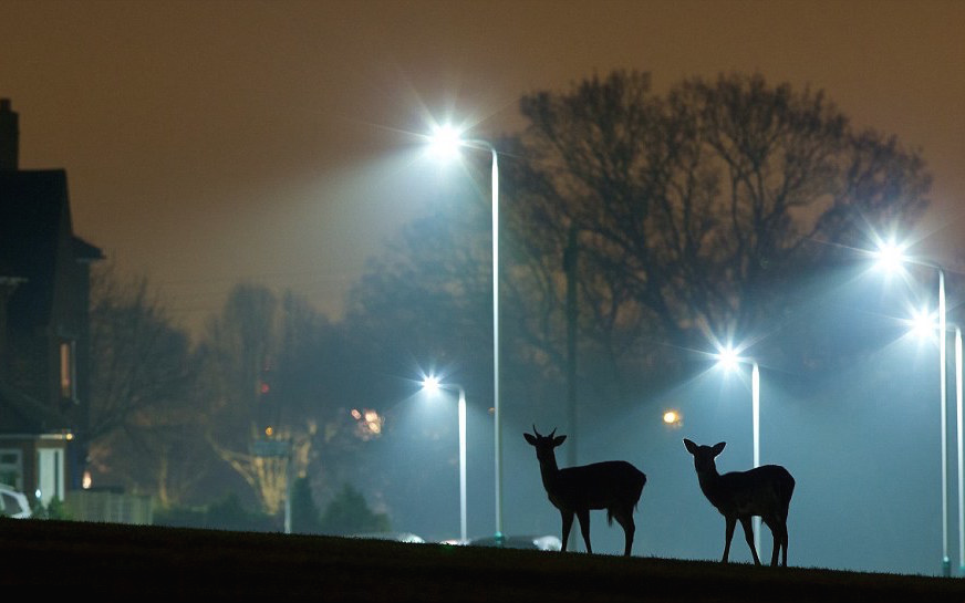 nubbsgalore:photos by mark smith and mark bridger who document, respectively, the