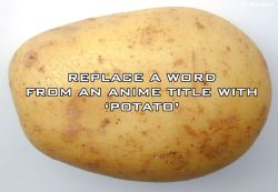 zombiepenguins:  ponypls:  felixelreparador:  oddthepurplecat:  newfuturehero:  dimensionalhero:  four-pokemon-derp-around:  toorad4u:  ask-beedrill:  elliotthezubat:  otaku-just-keep-swimming:  reblog and add? angel potato  attack on potato  Potato Bear