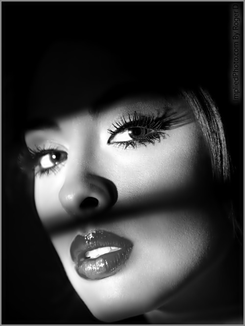 ~Sensuelle's Picture Book~
