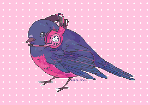 pink robin