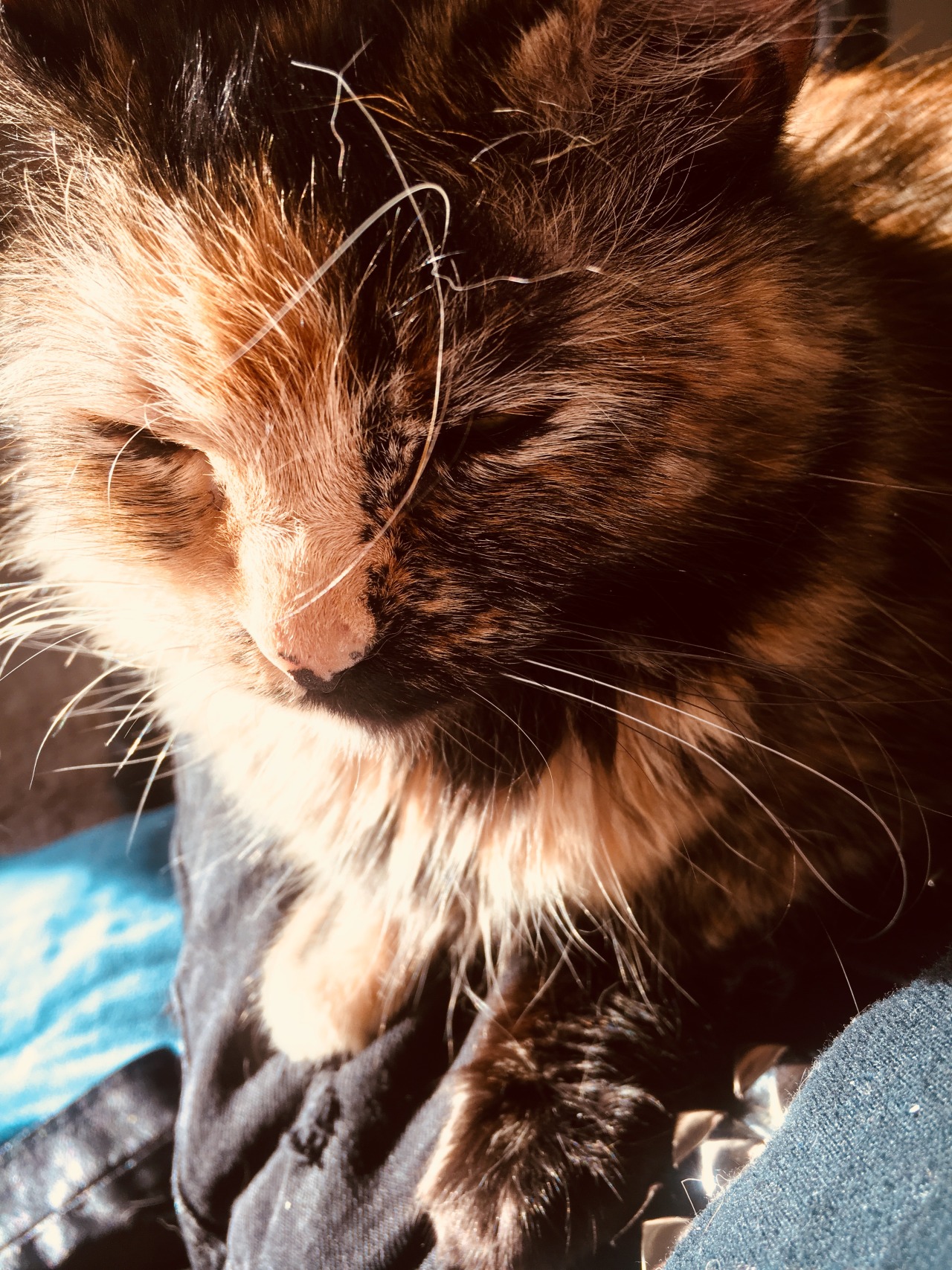 rizascupcakes:  toebeantheories:  atalantapendrag:  thegazingabyss666:  tahthetrickster: