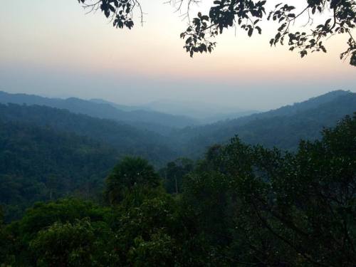 moneymawwkus: Good Morning from the jungles of Laos. (at The Gibbon Experience, Laos)