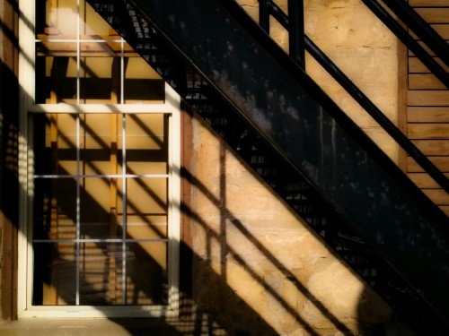 tokarphoto: Life in the shadows..