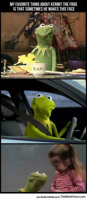 srsfunny:Favorite Thing About Kermit