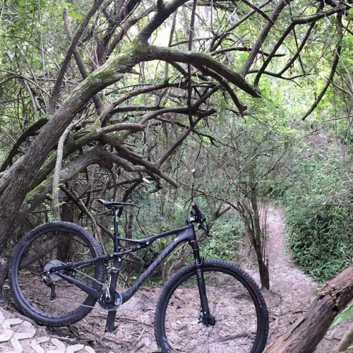 bikes-bridges-beer: #specialized #epic #carbon #comp #enve #qrotor #crank #shimano #xtr #swamp #sing