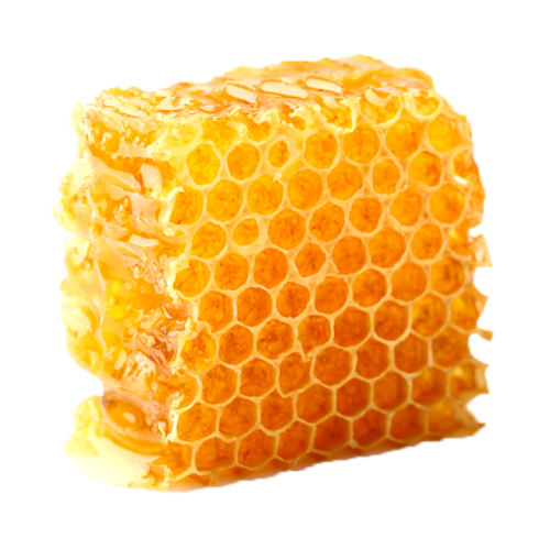 puriusagi:honeycomb ♡