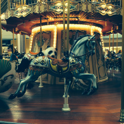 magics-secrets:  The carousel