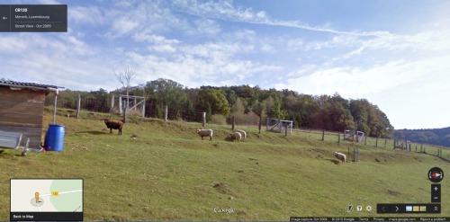 googlesheepview: Mersch, Luxembourg