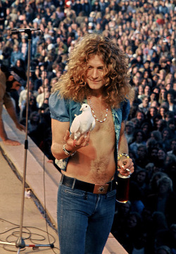 tomkeiferslips:  hang-lucifer:  babeimgonnaleaveu: “I was onstage with Led Zeppelin at Kezar Stadium, and there were some white doves in cages that were to be released at the end of ‘Stairway.’ When the signal was given to release them, out they