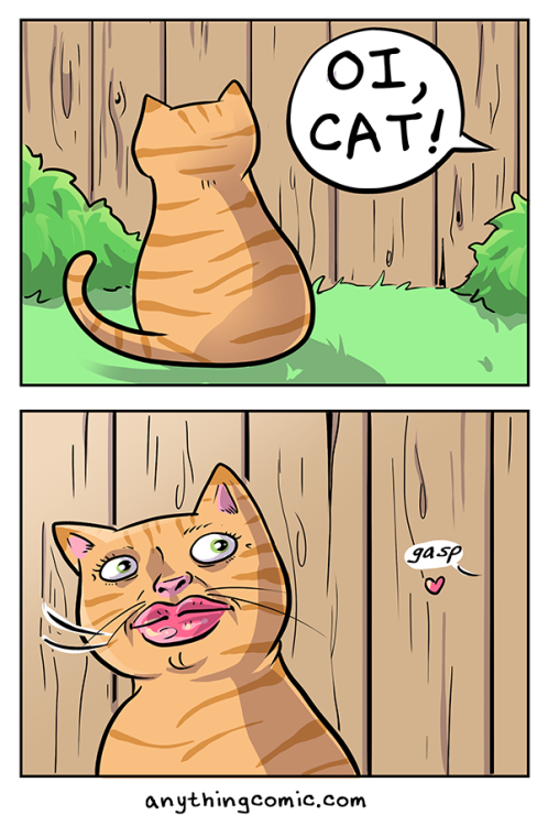 Catcall Patreon | Get the Book
