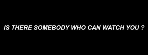 survness:  Is There Somebody Who Can Watch You - The 1975