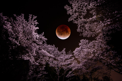 k641739021:(via つつみ込むようにの写真(画像) 写真ID:4337524- 写真共有サイト:PHOTOHITO)