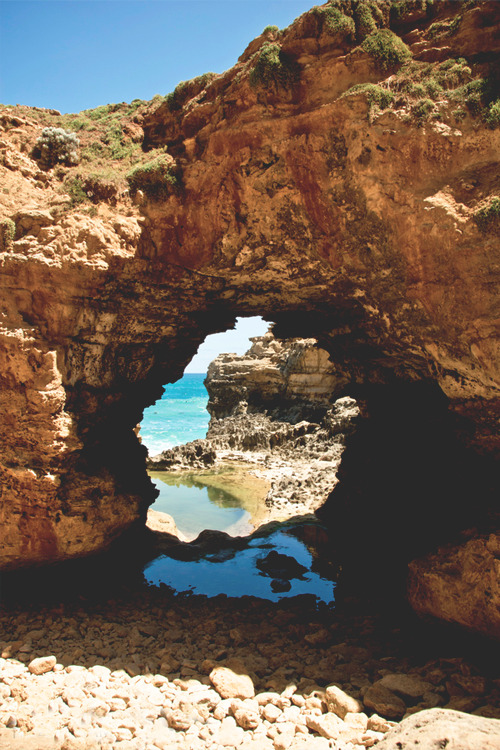 miamivibe:  sea through me / source 
