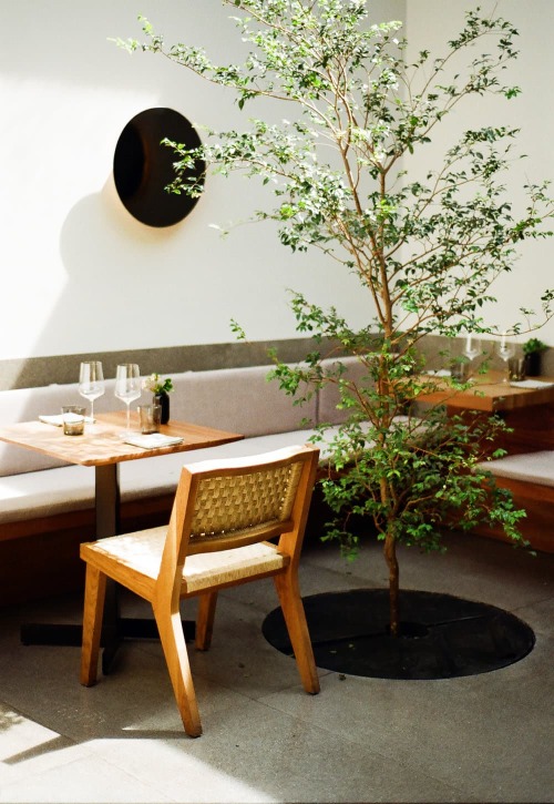  Pujol Restaurant in Mexico City photographed by Pia Riverola – Travel – Design. / Visual. 